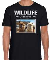 Alpaca foto t-shirt zwart heren wildlife of the world cadeau shirt alpaca s liefhebber
