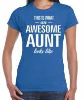 Awesome aunt cadeau t-shirt blauw dames