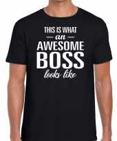 Awesome boss fun t-shirt zwart heren