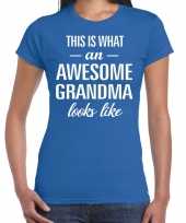Awesome grandma cadeau t-shirt blauw dames