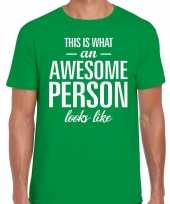 Awesome person fun t-shirt groen heren