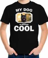 Honden liefhebber shirt cairn terrier my dog is serious cool zwart kinderen 10256729