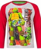 Ninja turtles shirt lange mouw grijs jongens