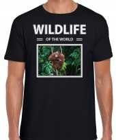 Orang oetan aap foto t-shirt zwart heren wildlife of the world cadeau shirt orang oetans liefhebber