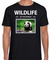 Panda foto t-shirt zwart heren wildlife of the world cadeau shirt pandas liefhebber