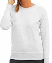 Sweater sweatshirt trui grijs ronde hals raglan mouwen dames
