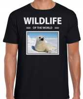 Zeehond foto t-shirt zwart heren wildlife of the world cadeau shirt zeehonden liefhebber